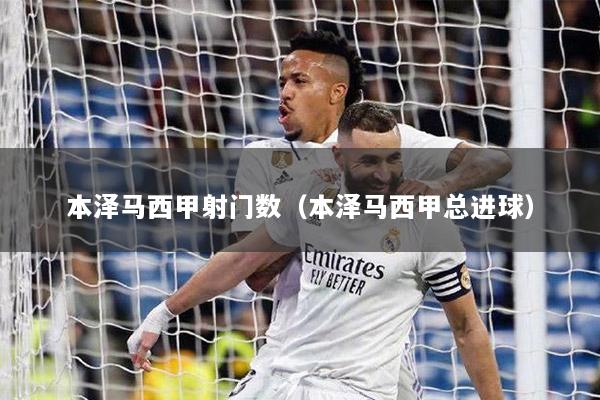 本泽马西甲射门数（本泽马西甲总进球）