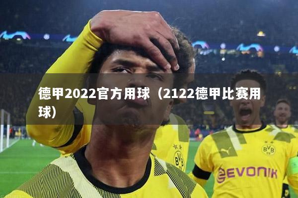 德甲2022官方用球（2122德甲比赛用球）
