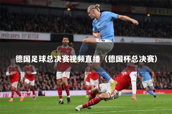 德国足球总决赛视频直播（德国杯总决赛）