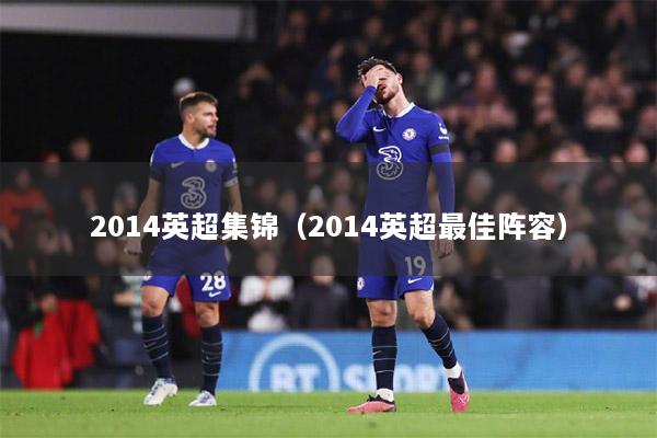 2014英超集锦（2014英超最佳阵容）