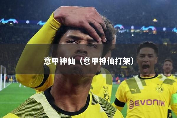 意甲神仙（意甲神仙打架）
