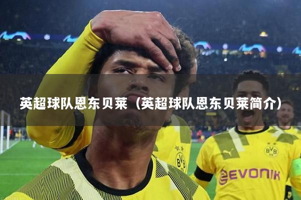 英超球队恩东贝莱（英超球队恩东贝莱简介）