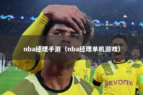 nba经理手游（nba经理单机游戏）