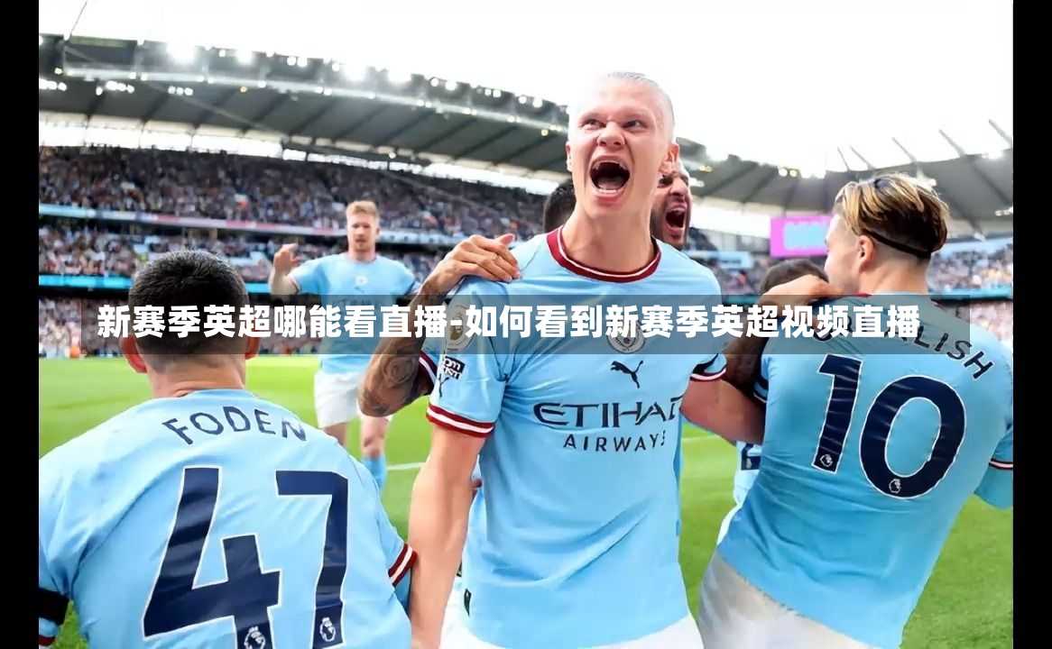 新赛季英超哪能看直播-如何看到新赛季英超视频直播