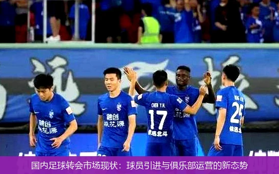 国内足球转会市场现状：球员引进与俱乐部运营的新态势