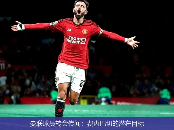 曼联球员转会传闻：费内巴切的潜在目标