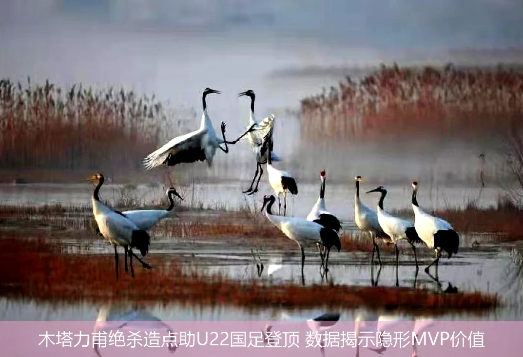 木塔力甫绝杀造点助U22国足登顶 数据揭示隐形MVP价值